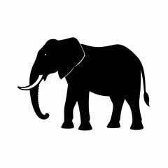 Fototapeta premium Silhouette of a black elephant with tusks and trunk raised