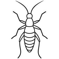 Simple Earwig Vector Drawing