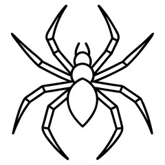 Simple Wolf Spider Digital Line Drawing