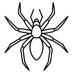 Simple Wolf Spider Digital Line Drawing