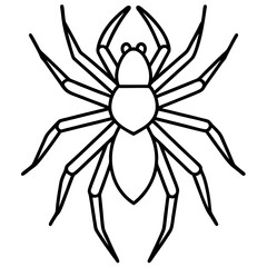 Simple Wolf Spider Digital Line Drawing