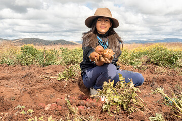 latin girl holding freshly harvested potato in the bolivian andes, latin america - agriculture concept