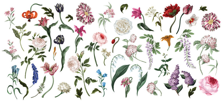 Big set oil painting rococo still-lifes flowers isolated. Vector.