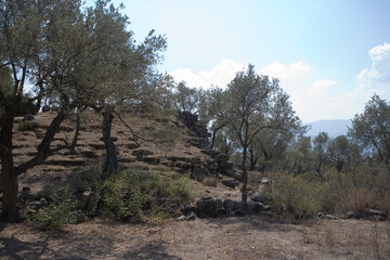 Türkiye landscape on a sunny autumn day