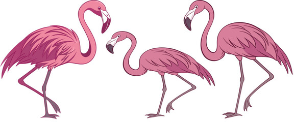 3D rendering of a pink flamingo standing on one leg isolated on a white background. The flamingo is looking to the left of the frame.