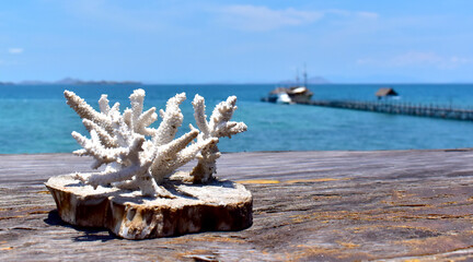 White sea coral, dark sea in the background, Flores island in Indonesia