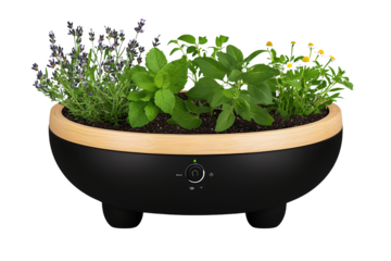 Black and Wooden Herb Planter with Fresh Lavender, Mint, and