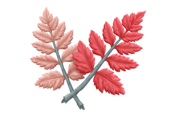 Stylized Pink and Red Fern Branches on Transparent Background