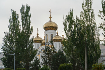 Eastern Orthodox church with golden domes with tall  tall poplar trees in the foreground.