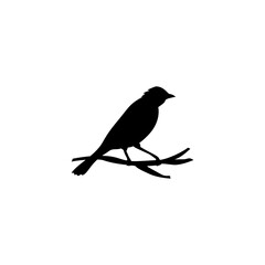Bird perched on a branch. Vector illustration 