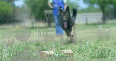 dog running toward blocks in training yard, displaying pet training tech with floating charts - Powered by Adobe