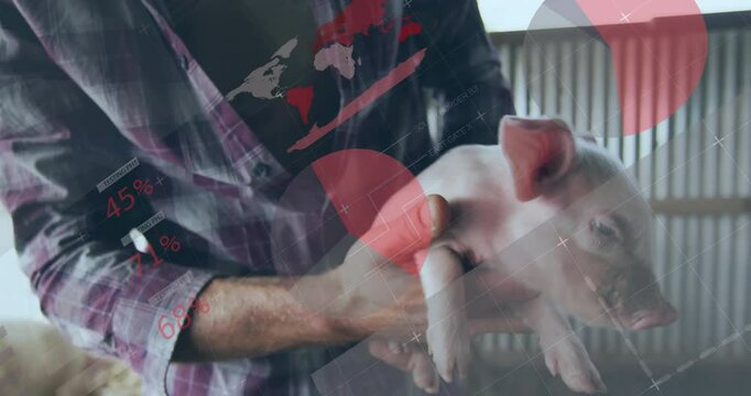 farm worker holding lamb in barn, with animated farm management chart and health icons