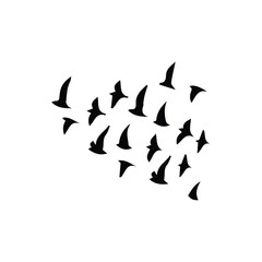 clean bird silhouette images