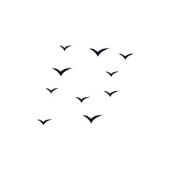 vector bird outline silhouettes