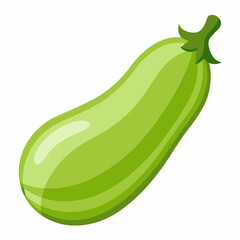 Eggplant a white background 