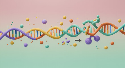 Naklejka premium DNA Repair Model Demonstrating Homologous Recombination