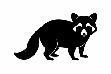 Obraz premium Silhouette of a crouching raccoon
