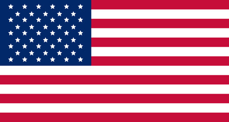 United States of America flag. Vector illustration