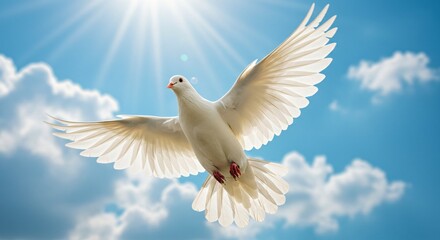Fototapeta premium Close-up of a pure white dove flying through glowing sunlight, embodying peace and serenity.