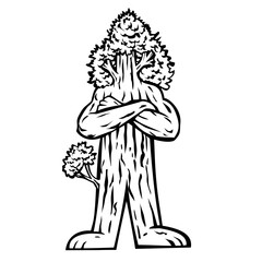 Mascot illustration of a Sequoioideae or redwood tree man, a subfamily of coniferous trees within the family Cupressaceae, standing with arms crossed on isolated background in retro black and white.