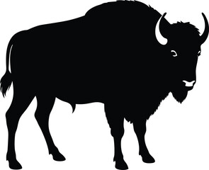 silhouette of a bison standing on plain on white