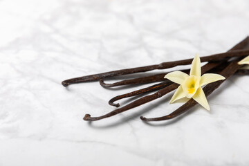 Vanilla pods on a textured background. Vanilla flowers and seeds. vanilla stick bean. Aromatic...