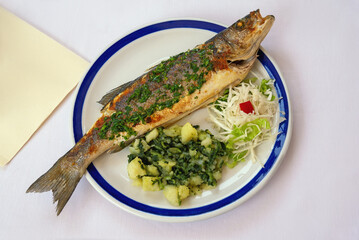 Balkan cuisine. Grilled fish ( mackerel ) with green leafy vegetables. Copy space