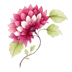 A beautiful watercolor illustration of a pink dahlia flower with leaves
