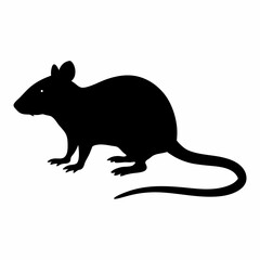 Obraz premium Black rat silhouette sitting on the ground isolated on white background