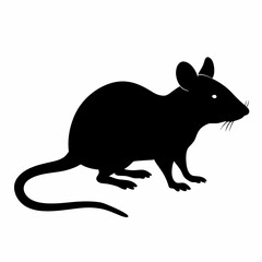 Obraz premium Black rat silhouette sitting on the ground isolated on white background