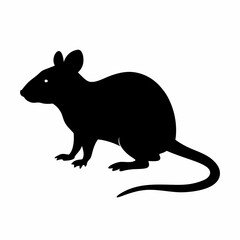 Obraz premium Black rat silhouette sitting on the ground isolated on white background