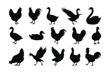 Farm Poultry Silhouette Collection with Chickens Ducks Geese