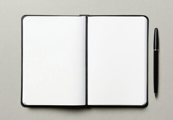 Blank notebook and pen, ready for writing