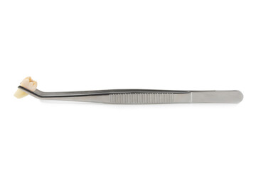 Dentist tools isolated on white background. Dentist Concept.Teethcare, dental health concept. Means to care for the oral cavity. Dental model and dental equipment. Dental hygiene. 