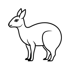 Patagonian Mara Line Art Vector
