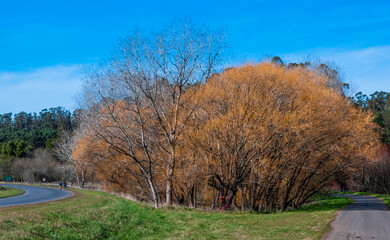 Mar del Plata, roads, forests, lagoons, parks, around the city