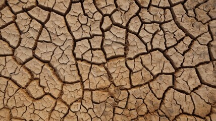 dry cracked ground texture