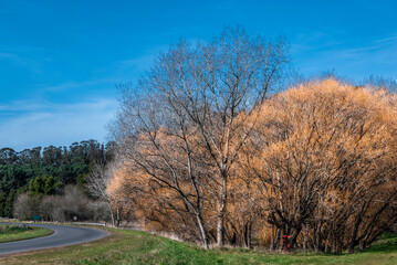 Mar del Plata, roads, forests, lagoons, parks, around the city