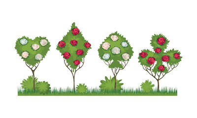 Blooming rose bushes in the shape of card suits from the royal garden. Alice in Wonderland