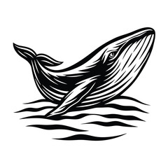 Black and White Whale Rising From the Waves, Ocean, Wildlife, Sea Mammal