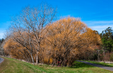 Mar del Plata, roads, forests, lagoons, parks, around the city