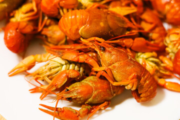 Freshly cooked crawfish piled on a white plate ready for a seafood feast