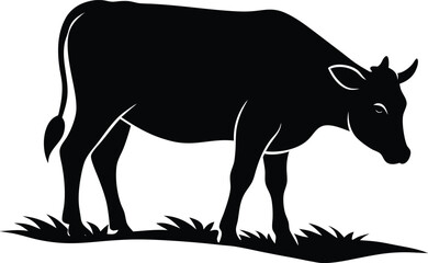 silhouette of a cow grazing in field on white 
