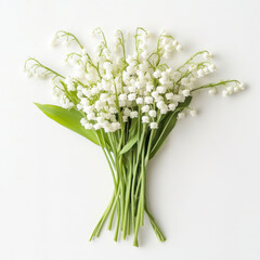 Obraz premium Lily of the valley flower bouquet on white background