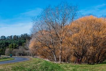 Obraz premium Mar del Plata, roads, forests, lagoons, parks, around the city