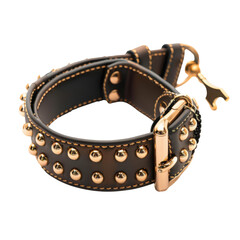 Luxurious pet collar crafted with fine leather, stylish accessory for pets, Isolated Transparent Background