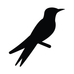 Black silhouette of a perched bird against a white background vector image