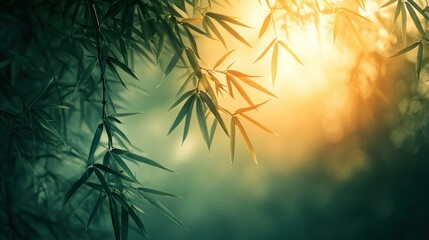 Bamboo leaves bathed in sunlight