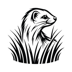 Ferret Illustration, Stylized, Black and White, Mammal Wildlife, Grass, Animal Portrait