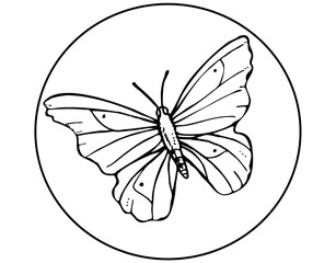 black and white butterfly vector stencil design